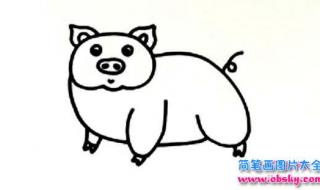 小猪佩奇画画全集简单 简笔画猪的画法